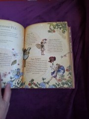 The Girls’ Book of Flower Fairies (HC, 2008) Frederick Warne (Crafts & Stories)