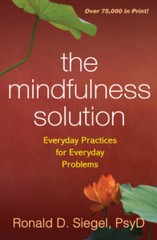 The Mindfulness Solution: Everyday Practices for Everyday Problems – VERY GOOD