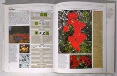 Garden Plant Survival Manual By Ann Bonar – 1984 Chartwell Books Inc. HC- NICE