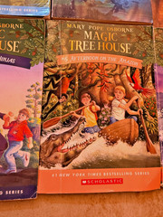 Lot of 24 Magic Treehouse books by Mary Pope Osborne Classroom owned