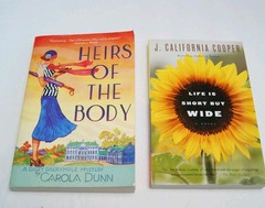 Book Lot 12 Contemporary Fiction Mixed Authors Trade Paperbacks Pre‑Owned