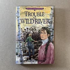 Vintage Adventures Of Northwoods Lot 6 Lois Walfrid Johnson Harmony PB 1990s