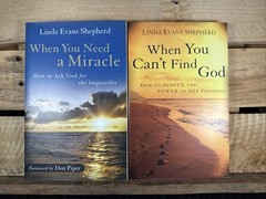 Linda Evans Shepherd 2-Book Lot (When You … Need a Miracle … Can’t Find God)