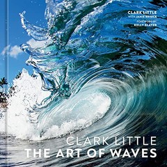 Clark Little: The Art of Waves, Brisick, Jamie