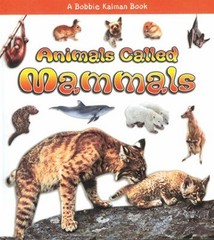 Animals Called Mammals Paperback Bobbie, Lundblad, Kristina Kalma