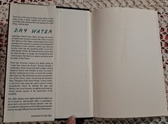 Dry Water by Eric S. Nylund, 1997, HC w/DJ, 311 pages, Avon Books
