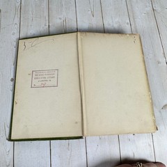 The Conspirators Robert W. Chambers 1899 A.L. Burt HC Antique Romance Novel