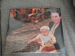 Guy Stricherz – Americans In Kodachrome 1945-1965 1st Ed. Twin Palms 2002 OOP