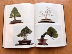 Nihon Bonsai Taikan Ten 2nd Exhibition Japanese Art Photobook 12.2″ Japan used