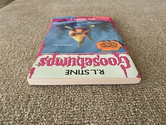 Like New 1st print Goosebumps #58 Deep Trouble II 2 w/bookmark cards ~ Stine