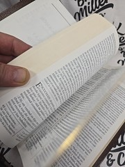 Lds triple El Libro De Mormon Doctrina Y Convenios Perla De Gran Precio