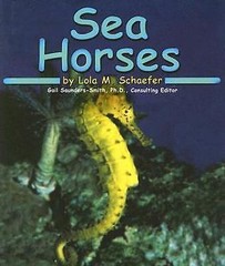 Sea Horses (Pebble Books) by Schaefer, Lola M.