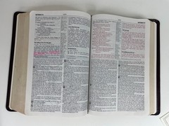 NIV 1984-2002 Study Bible Zondervan bonded leather burgundy see details
