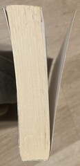The Mother-in-Law: A Novel – Paperback By Hepworth, Sally – VERY GOOD