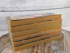 Lot of 6 Longarm by Tabor Evans Adult Western Vintage Paperback Book