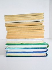 Magic Tree House Book Lot of 17, Mary Pope Osborne, PB HC Mix, 1990s-2010s