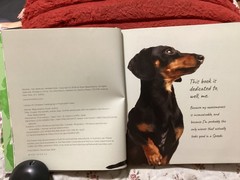 CRUSOE, THE WORDLY WIENER DOG, DACHSHUND, EXC. COND,230 PAGES/ FREE POSTAGE!!!!!