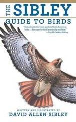 The Sibley Guide to Birds – Paperback By David Allen Sibley – GOOD