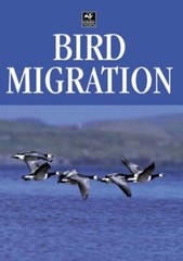 Bird Migration (Birdwatcher’s Guide) By Dominic Couzens