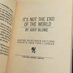 Judy Blume It’s Not The End Of The World PB Book Pathfinder Novel Vtg 1973 BCE