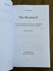 The Moralist II by John Warley [Paperback]