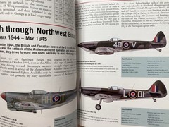 WWII Allied Fighter Aircraft 1939-45 P51 Mustang P38 Spitfire ThunderboltWildcat
