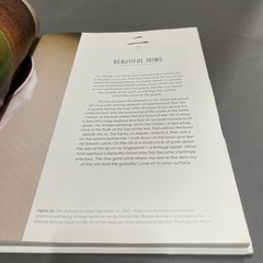 Kintsugi: The Poetic Mend by Kemske, Bonnie [Hardcover]