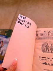 Lot of 24 Magic Treehouse books by Mary Pope Osborne Classroom owned