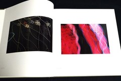 Harry Callahan Color Photography 1941-1980 First Edition 1980