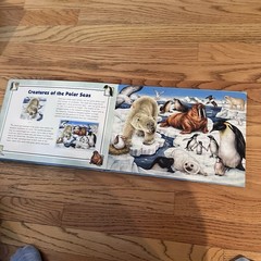 Ocean Creatures Jigsaw Book – Hardcover By Krutop, Lee – VERY GOOD