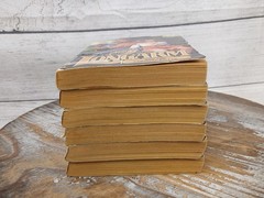 Lot of 6 Longarm by Tabor Evans Adult Western Vintage Paperback Book