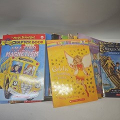 Lot of 16 Childrens Chapter Books Ages 8-12 (3-6 grade) – Scholastic Publishing