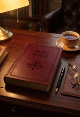 Douay-Rheims Bible Burgundy Leatherette TAN Books Catholic Holy Scripture New