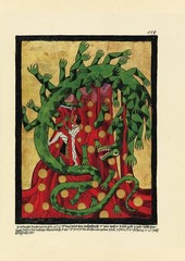 C.G. Jung THE RED BOOK Liber Novus Plates Illustration Japan Book New