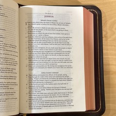 NEW Legacy Standard Bible LSB, CUSTOM GOATSKIN & yapp, handy size, 1 Cor. 2:12