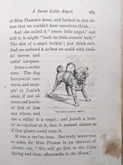 Samantha at Saratoga by Josiah Allen’s Wife (Marietta Holley) 1887, satire