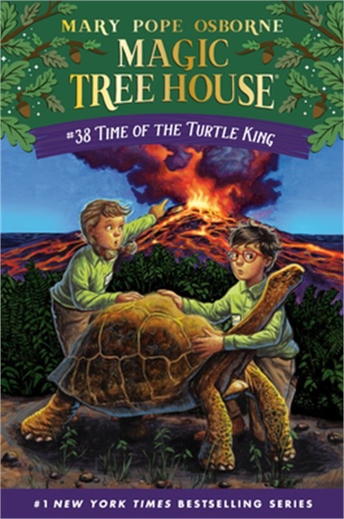 Time of the Turtle King (Paperback or Softback)