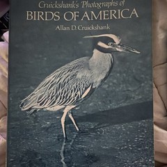 Cruickshank’s Photographs of Birds of America PB Allan D. Cruickshank 1977