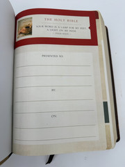 NIV Cultural Background Study Bible Imitation Leather