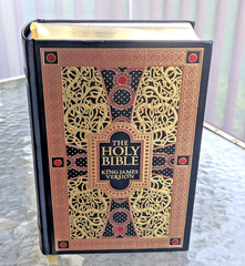 The Holy Bible King James Version Gustave Dore Illustrated Leather Bound Gold