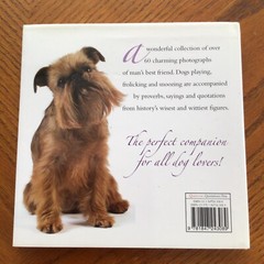 Huggable Hounds: A Dog Lover’s Treasury, Quercus Publishing Hardcover Book