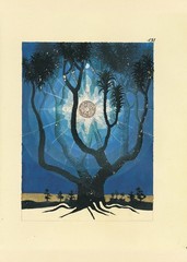C.G. Jung THE RED BOOK Liber Novus Plates Illustration Japan Book New
