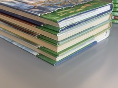 Magic Tree House Chapter Books YOU CHOOSE PICK, BUILD A LOT Merlin Mission