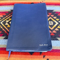 The Holy Bible NIV Study Bible 10th Anniversary Edition Leather Blue Zondervan