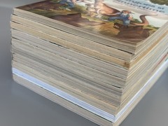 Magic Tree House Chapter Books YOU CHOOSE PICK, BUILD A LOT Merlin Mission