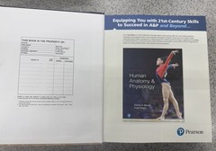 Human Anatomy and Physiology, Eleventh Edition, c. 2019