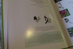 Lot of FIVE Hermes House Gardening books, McHoy, Houdret, Donaldson