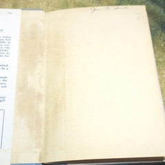 Life’s Extras – Archibald Rutledge HC Illustrated B. Hay Gilbert Revell 1928