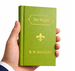 The Negro A Menace To American Civilization (Leatherbound Pocket Edition)