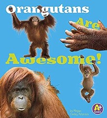 Orangutans Are Awesome! Library Binding Allan Morey